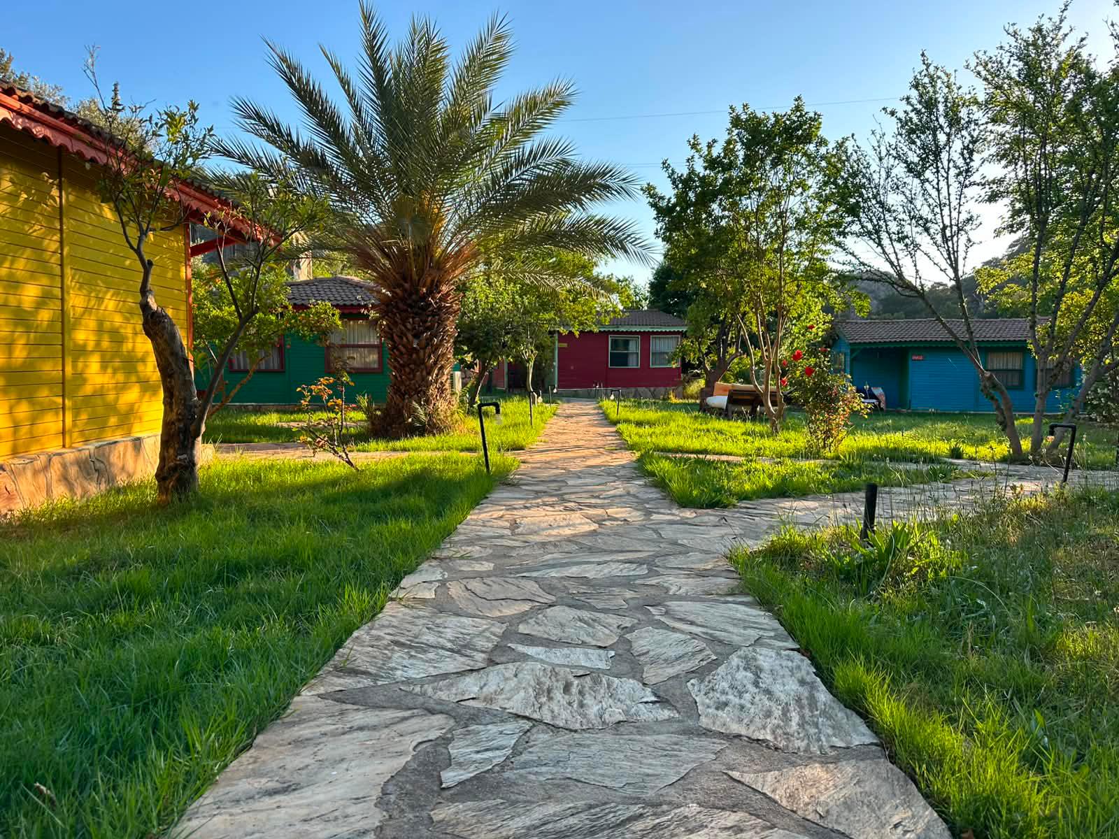 Dış 8